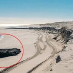 Şiddetli Fırtına 136 Yıllık Batık Geminin Kalıntılarını Ortaya Çıkardı