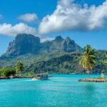 Skomer Adası'nda Ücretsiz Yaşam Fırsatı: Gönüllüler için Tek Şart