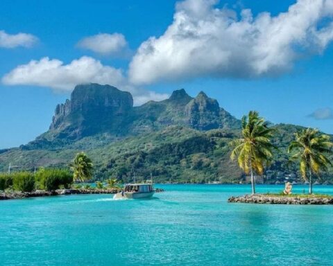 Skomer Adası'nda Ücretsiz Yaşam Fırsatı: Gönüllüler için Tek Şart