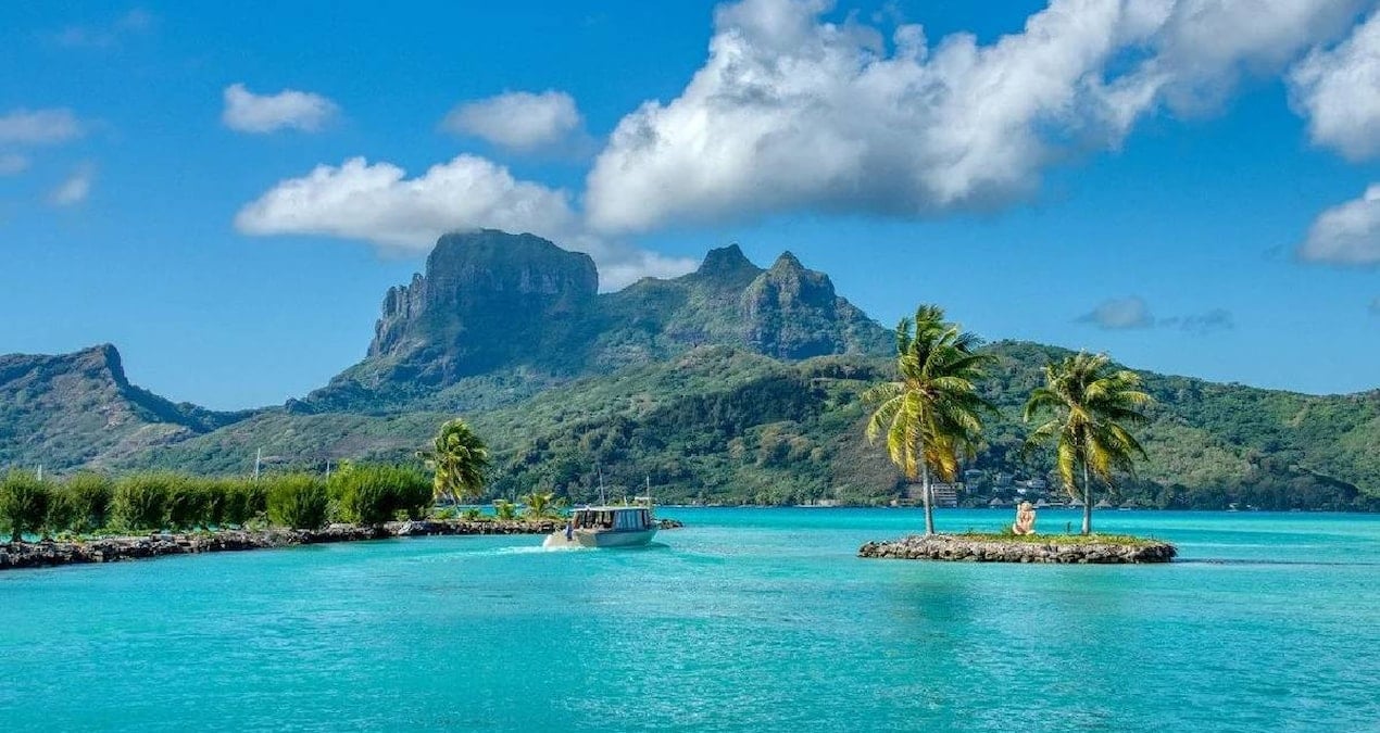 Skomer Adası'nda Ücretsiz Yaşam Fırsatı: Gönüllüler için Tek Şart