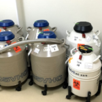 Ukrayna'da Askerlere Kriyoprezervasyon Hizmeti Sunuluyor