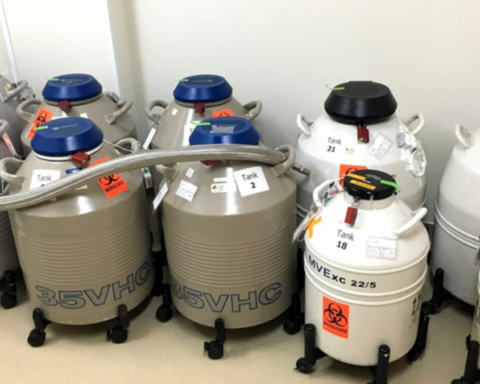 Ukrayna'da Askerlere Kriyoprezervasyon Hizmeti Sunuluyor