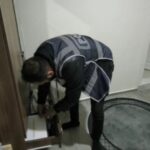 Vize Dolandırıcılığı Operasyonunda 12 Kişi Tutuklandı, 1,7 Milyon TL Haksız Kazanç Elde Edildi