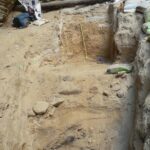 Yeni Zelanda'da 1.5 milyon yıllık fosil keşfi, antik kuş çeşitliliğine ışık tutuyor