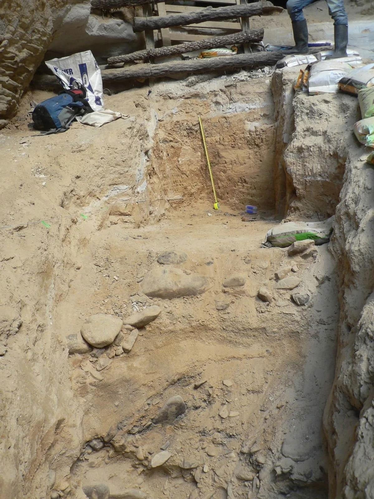 Yeni Zelanda'da 1.5 milyon yıllık fosil keşfi, antik kuş çeşitliliğine ışık tutuyor