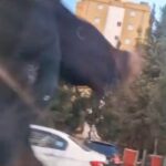 Adana'da Trafikte Yol Verme Meselesi Nedeniyle Saldırı Gerçekleşti