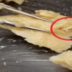 Alaska’daki 42 Yıllık Somon Konserveleri, Ekosistem Değişimlerini Aydınlatıyor