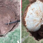 Arizona'daki evin bahçesinde Soğuk Savaş dönemine ait anti-atomik sığınak bulundu