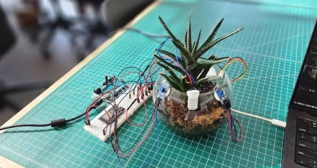 Bitkiler Artık Dertlerini Anlatabilecek: PlantGPT Teknolojisiyle İletişim Kuracaklar