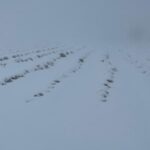 Bozdoğan'da Mart sonunda Karıncalı Dağı beyaza büründü