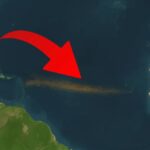 Büyük Sargassum Kuşağı Atlantik Okyanusu'nda Tarihinin En Büyük Boyutuna Ulaştı