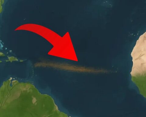 Büyük Sargassum Kuşağı Atlantik Okyanusu'nda Tarihinin En Büyük Boyutuna Ulaştı