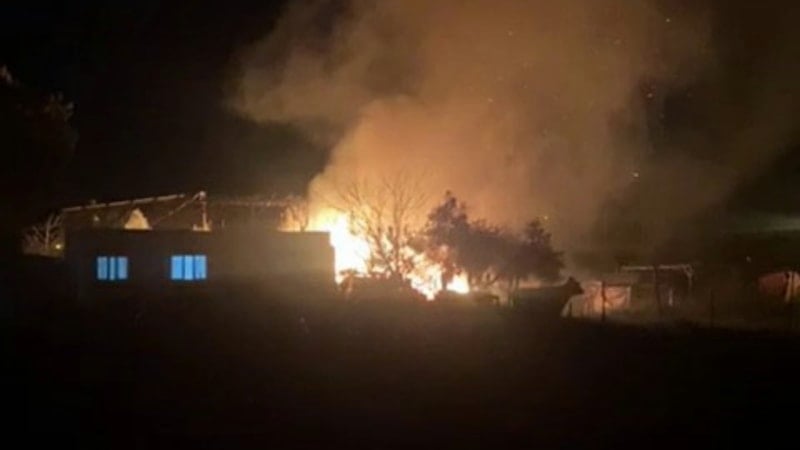 Ceyhan'da Yangın: 40 Güvercin Telef Oldu