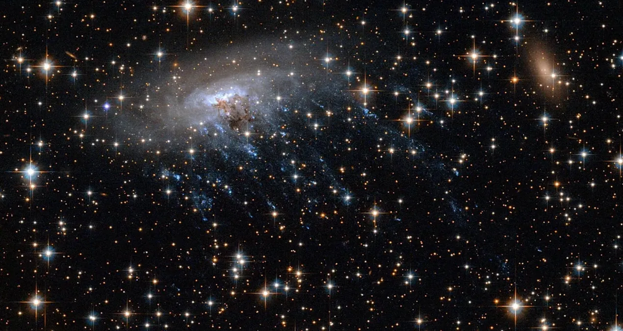 Denizanası galaksisi, evrenin genç dönemine ışık tutuyor