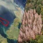 Doggerland'da Binlerce Yıl Öncesine Ait DNA İzleri Bulundu