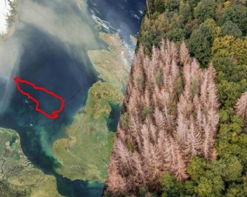 Doggerland'da Binlerce Yıl Öncesine Ait DNA İzleri Bulundu