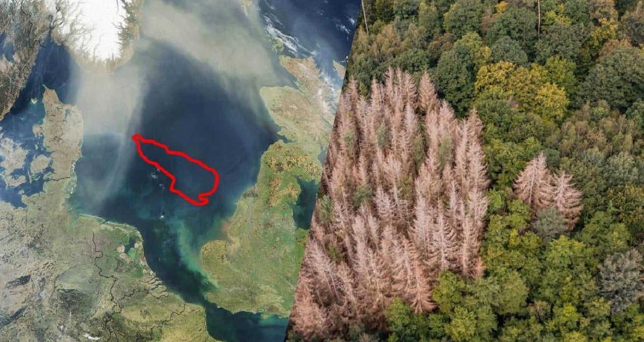 Doggerland'da Binlerce Yıl Öncesine Ait DNA İzleri Bulundu