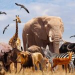 Dondurulmuş Hayvan Türleri Global Koruma Projesiyle Saklanacak