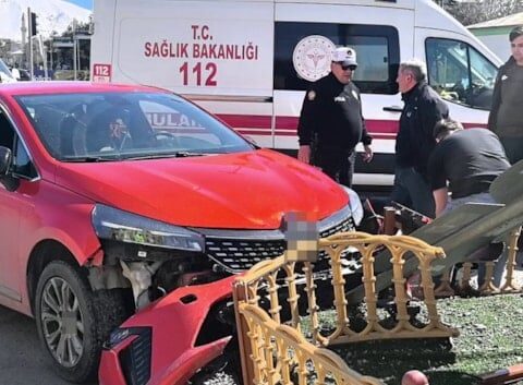 Erzurum'da araç içinde köpeğin sürücüye atlaması kazaya yol açtı