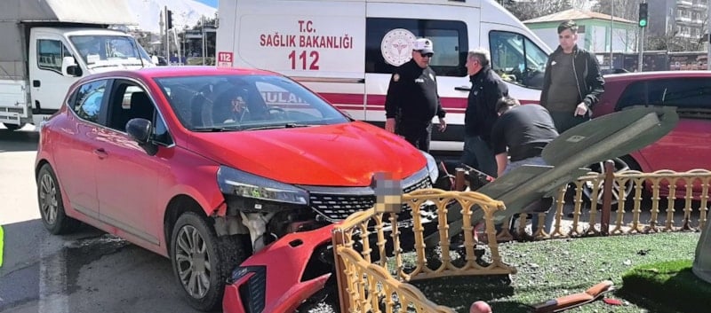 Erzurum'da araç içinde köpeğin sürücüye atlaması kazaya yol açtı