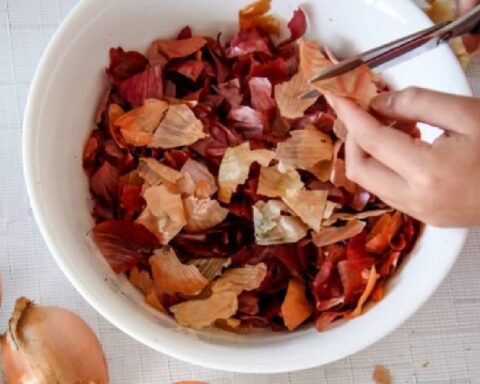 Güneş Panellerinde Verimlilik Rekoru: Bitkisel Atıkların Yenilikçi Kullanımı