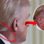 İran'ın Kuzeyindeki Kürt Terör Gruplarına Yönelik Saldırılar Derinleşiyor