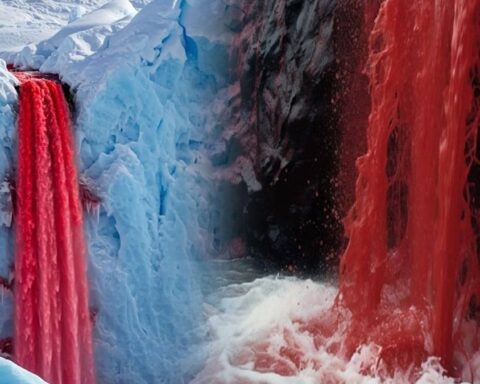 Kızıl Su Akıntısının Gizemi Çözüldü: Oksitlenmiş Tuzlu Su ve Mikroskobik Yaşam