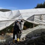 Kumluca’da Hortum Seralara Zarar Verdi, Çiftçiler Hasar Tespiti İçin Çalışmalara Başladı