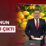 Limon fiyatları yüzde 9900 artışla 100 lirayı aştı, üretimdeki düşüş etkili oldu