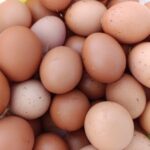Manisa'da Kiralar Yüzünden Köyüne Dönen Adam Tavuk Yumurtası Üretmeye Başladı