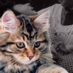 Minamata'daki Endüstriyel Felaket: Cıva Zehirlenmesi ve Toplumun Düşüşü