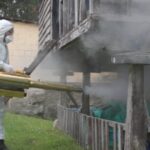Ordu'da Kahverengi Kokarca ile Mücadele Devam Ediyor, 190 Bin Kışlak İlaçlandı