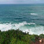 Panama Körfezi'nde Okyanus Nefesinin Kesilmesi Ekosistemi Tehdit Ediyor