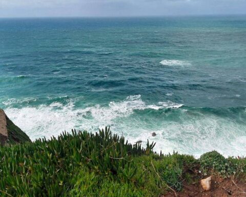 Panama Körfezi'nde Okyanus Nefesinin Kesilmesi Ekosistemi Tehdit Ediyor