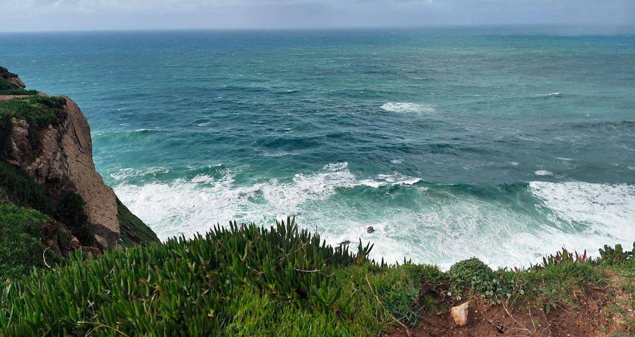 Panama Körfezi'nde Okyanus Nefesinin Kesilmesi Ekosistemi Tehdit Ediyor