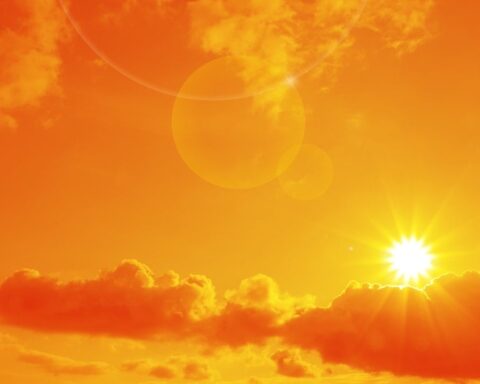 Şubat ayında Avrupa'da sıcaklık rekorları kırıldı