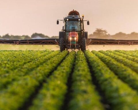 Tarımda Üretici Fiyatları Şubatta Yüzde 40,1 Arttı