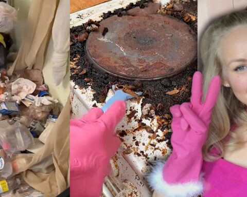 Temizlikte Yenilikçi Yaklaşım: Auri Kananen Milyon Euro Değerinde Bir İş Modeli Oluşturdu