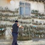 Tokat'ta Bahçesi Olmayan Vatandaş, Duvarda Dikey Bahçe Kurarak Soğan Yetiştiriyor