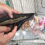 Türk-İş: Açlık ve Yoksulluk Sınırı Rekor Seviyelerde Artış Gösterdi