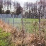 Yüksek Çitlerin Kaldırılmasıyla Yeni İnşaat Düzenlemeleri Getirildi