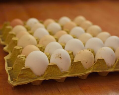 Yumurta ihracatında yasak ve jeopolitik fırsatlar: Türkiye'nin üretim kapasitesi artıyor