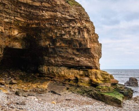 11 Bin Yıl Boyunca Kullanılan Mağarada Tarih Öncesi Defin Keşfi