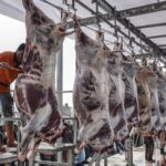 2026 Kurban kesim ücretleri açıklandı: Kocaeli ve Konya'daki fiyatlar belirlendi