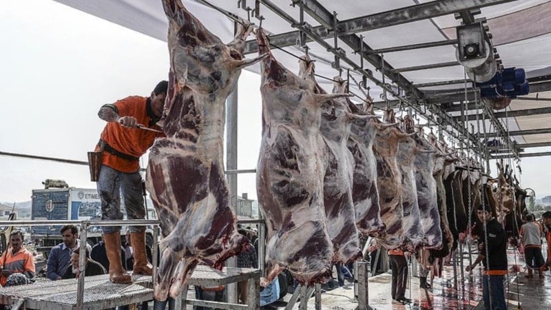 2026 Kurban kesim ücretleri açıklandı: Kocaeli ve Konya'daki fiyatlar belirlendi