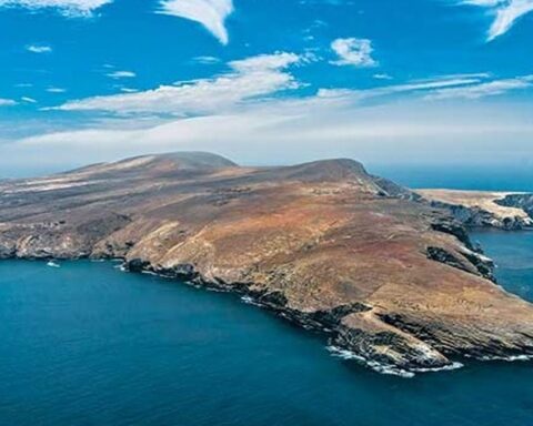 250 Yıldır Susuz Yaşayan Keçi Sürüsü Bilim Dünyasını Şaşırtıyor