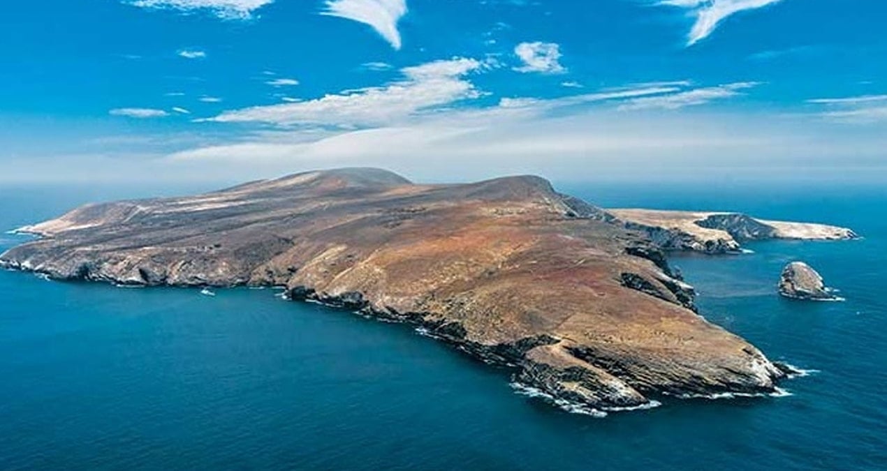 250 Yıldır Susuz Yaşayan Keçi Sürüsü Bilim Dünyasını Şaşırtıyor