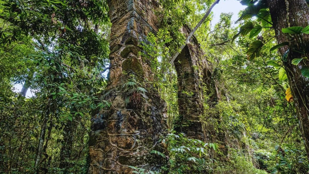 5 Bin Yıl Önceye Ait Kale Romanya'da Keşfedildi