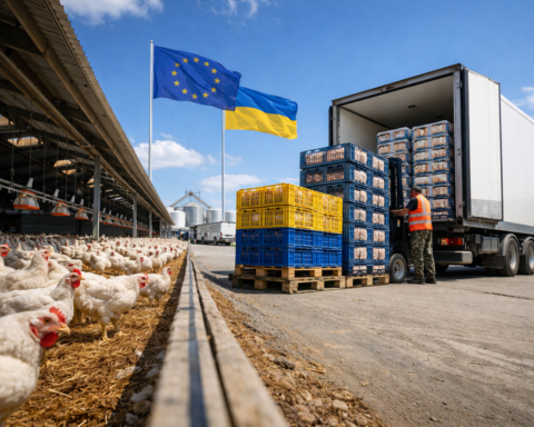 Ukrayna Tarım Sektörü Savaş Sonrası İlk Kez Kanatlı Eti İhracatında Tarihi Dönüşüm Kaydediyor: AB Pazarında Stratejik Güven Kazanılıyor