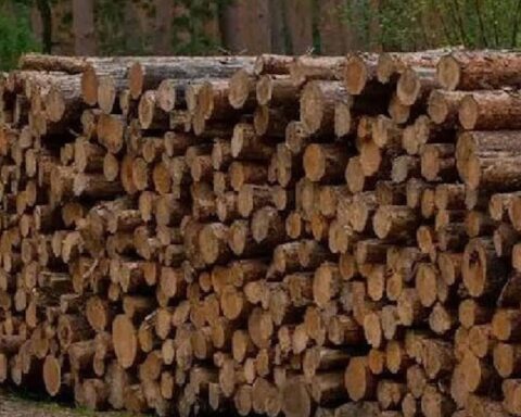 Ahşap Malzeme, Güneş Enerjisiyle Elektrik Üretiminde Devrim Yaratıyor